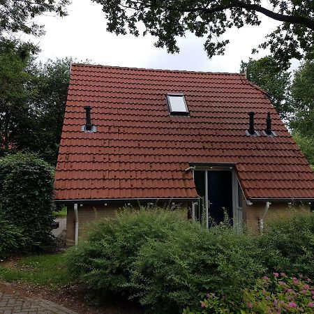 Vakantiepark Timmerholt Hotell Westerbork Exteriör bild